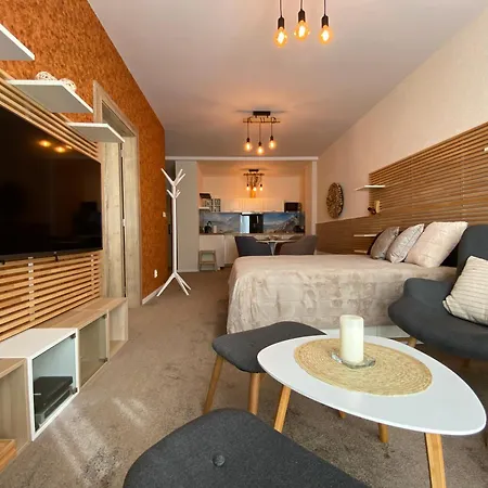 Veternica V Bernarde 4*